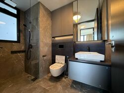 Irwell Hill Residences (D9), Apartment #546373291